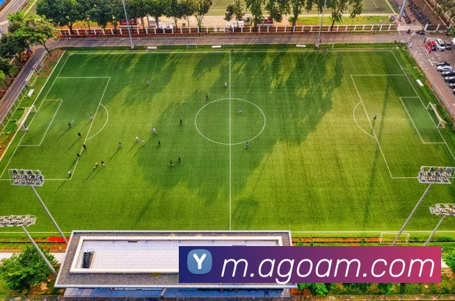 ag官网平台生态图